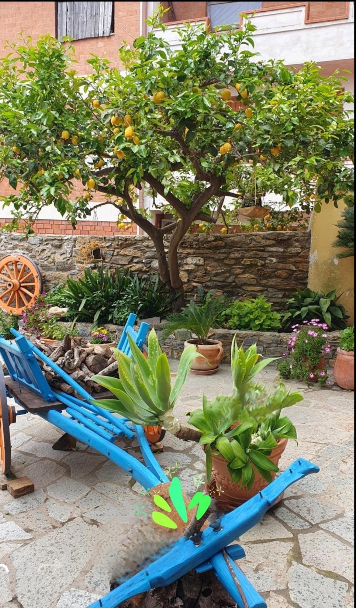 Su Carreri Bed & Breakfast Armungia Exterior photo